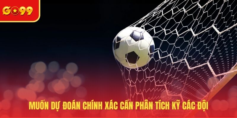 Muốn dự đoán chính xác cần phân tích kỹ các đội 