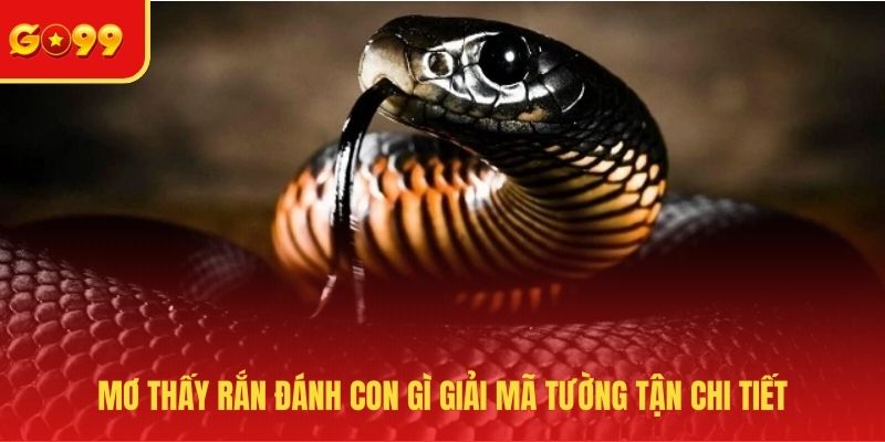 Mơ thấy rắn đánh con gì giải mã tường tận chi tiết 