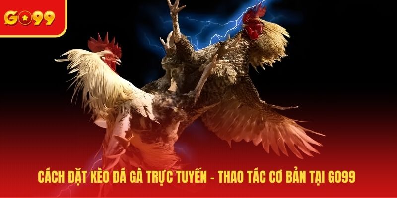 Cách đặt kèo đá gà trực tuyến